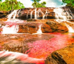 cano-cristales-paraiso-terrenal