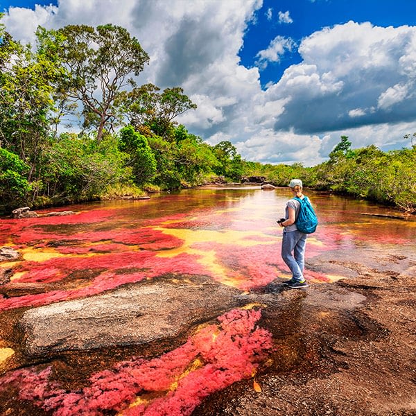 Caño Cristales